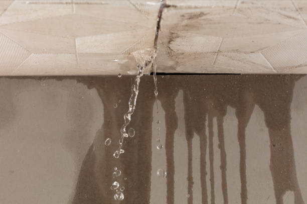 Professional Burst Pipe Cleanup technician working in Perry, ME